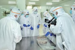什么是P3實驗室，建立P3實驗室的要求是怎樣